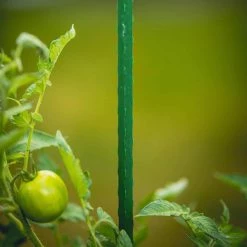 Vigoro 5 ft. Green Colored Steel Core Garden Stake -VIGORO Sales vigoro tomato cages st5vg 66 1000