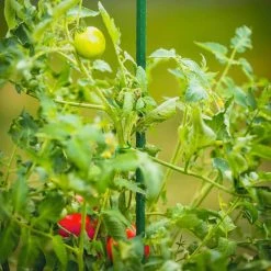 Vigoro 5 ft. Green Colored Steel Core Garden Stake -VIGORO Sales vigoro tomato cages st5vg 76 1000