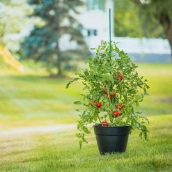 Vigoro 5 ft. Green Colored Steel Core Garden Stake -VIGORO Sales vigoro tomato cages st5vg c3 1000