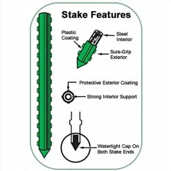 Vigoro 6 ft. Green Colored Heavy Duty Steel Core Garden Stakes 13 Vigoro 6 ft. Green Colored Heavy Duty Steel Core Garden Stakes -VIGORO Sales vigoro tomato cages st6hdvg fa 1000