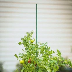 Vigoro 6 ft. Green Colored Steel Core Garden Stake -VIGORO Sales vigoro tomato cages st6vg 66 1000