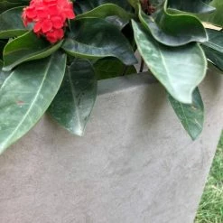 KANTE 31 in. L Rectangular Weathered Concrete/Fiberglass Indoor Outdoor Elegant Planter 18 KANTE 31 in. L Rectangular Weathered Concrete/Fiberglass Indoor Outdoor Elegant Planter -VIGORO Sales weathered concrete kante plant pots osf0104b c80021 2 44 1000