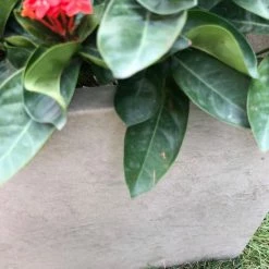 KANTE 31 in. L Rectangular Weathered Concrete/Fiberglass Indoor Outdoor Elegant Planter 19 KANTE 31 in. L Rectangular Weathered Concrete/Fiberglass Indoor Outdoor Elegant Planter -VIGORO Sales weathered concrete kante plant pots osf0104b c80021 2 fa 1000