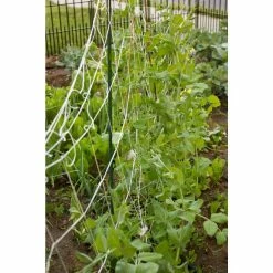 Vigoro 5 ft. x 8 ft. Sturdy Garden Trellis -VIGORO Sales white vigoro tomato cages t008avg 44 1000