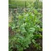 Vigoro 5 ft. x 8 ft. Sturdy Garden Trellis -VIGORO Sales white vigoro tomato cages t008avg 64 1000