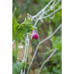 Vigoro 5 ft. x 8 ft. Sturdy Garden Trellis -VIGORO Sales white vigoro tomato cages t008avg fa 1000