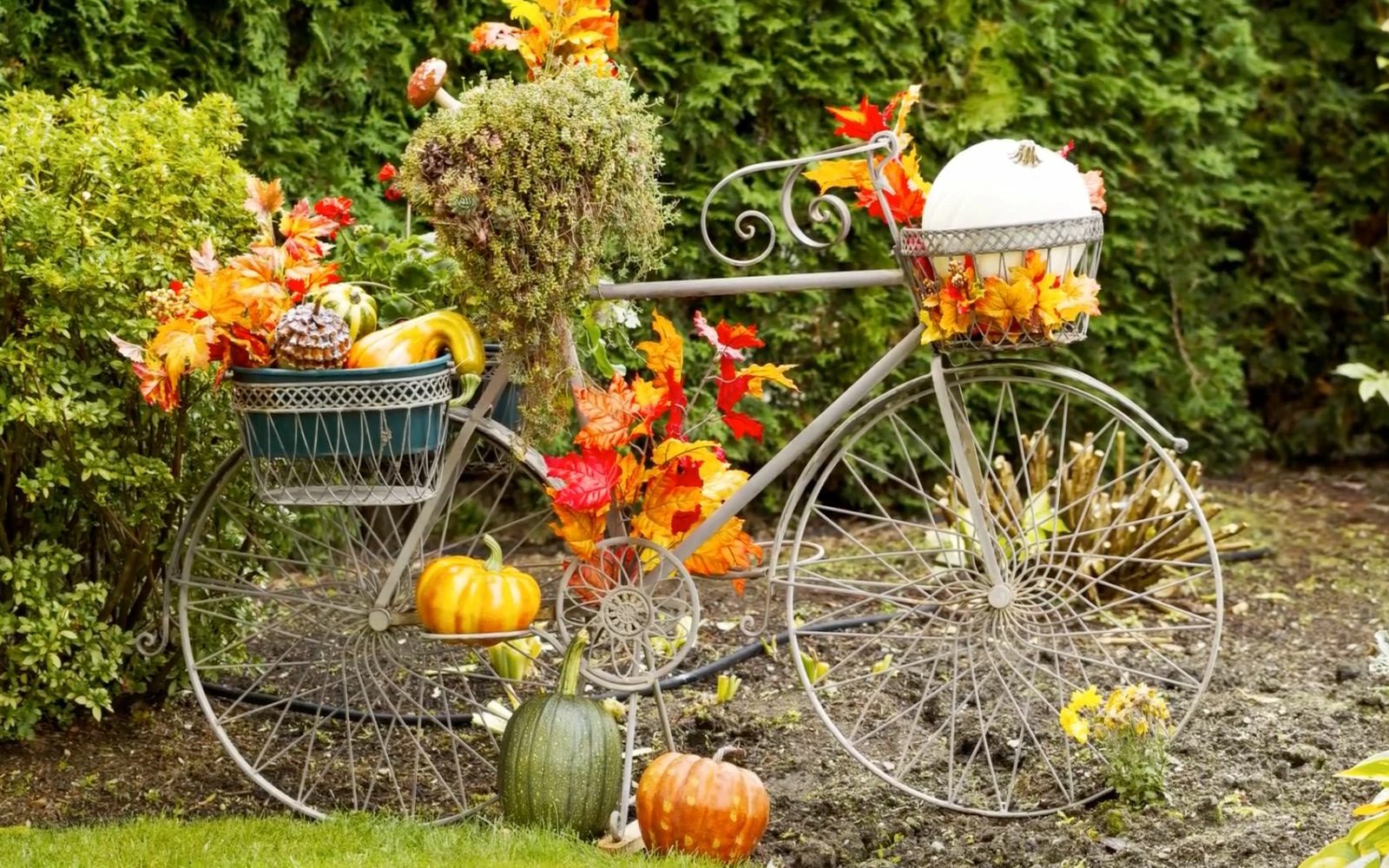 Vigoro sales Store -VIGORO Sales 41fa1ac798fe959f078d47ae669703e6dc634df1